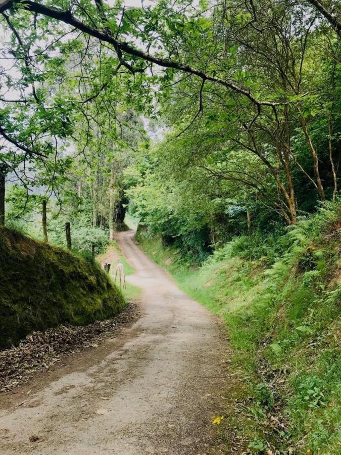 Casa Rural Dosal Ruisenada Bagian luar foto